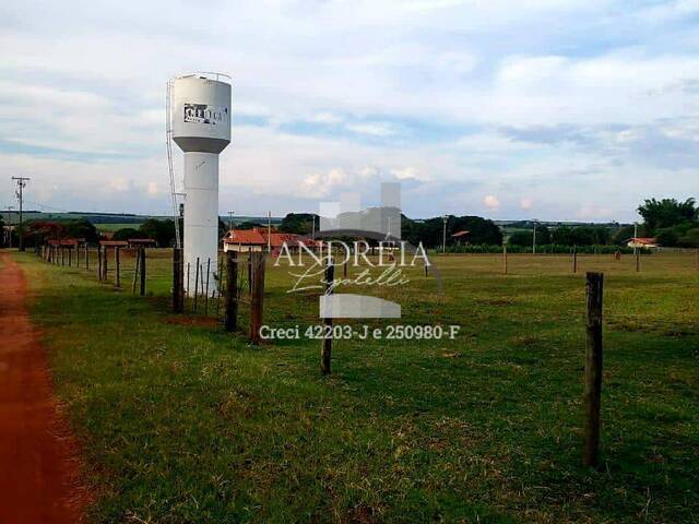 #75 - Chácara para Venda em Araraquara - SP - 1