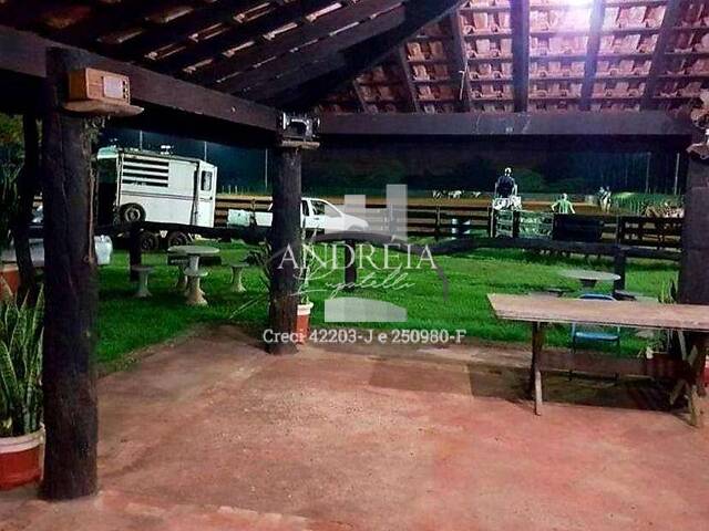 #75 - Chácara para Venda em Araraquara - SP - 3