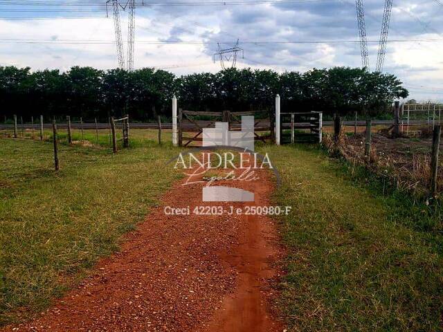 Chácara para Venda em Araraquara - 4