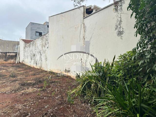 Área para Venda em Araraquara - 5
