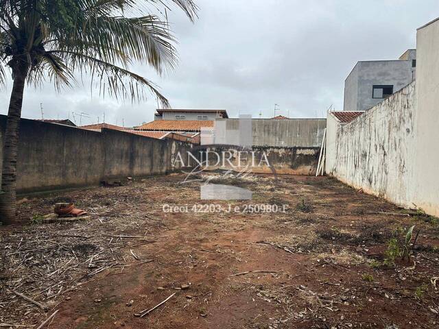 #117 - Área para Venda em Araraquara - SP - 2